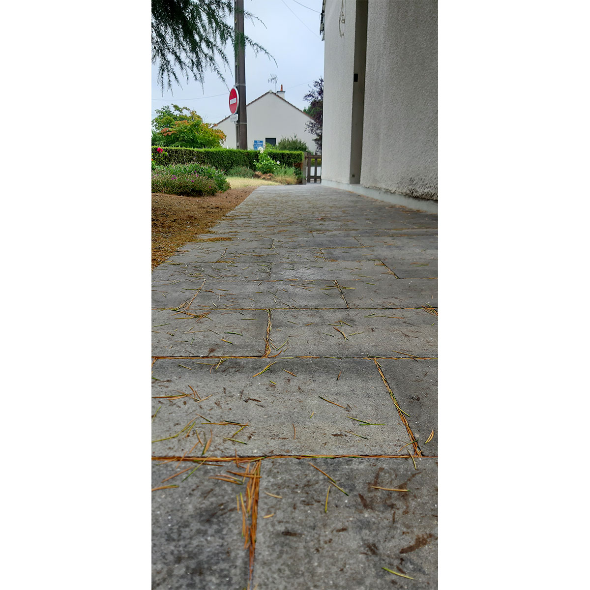 allee-en-paves-beton-4