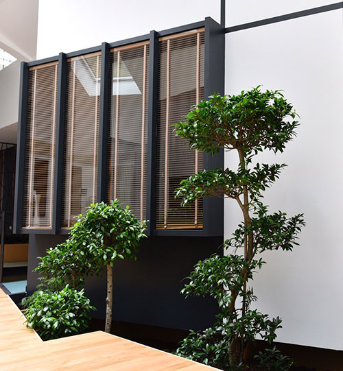 https://www.vert-morisson.fr/wp-content/uploads/2020/04/deco.jpg