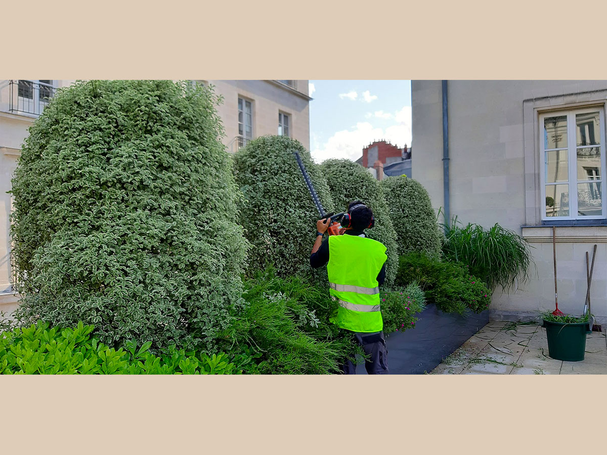 Entretien des espaces verts entreprise