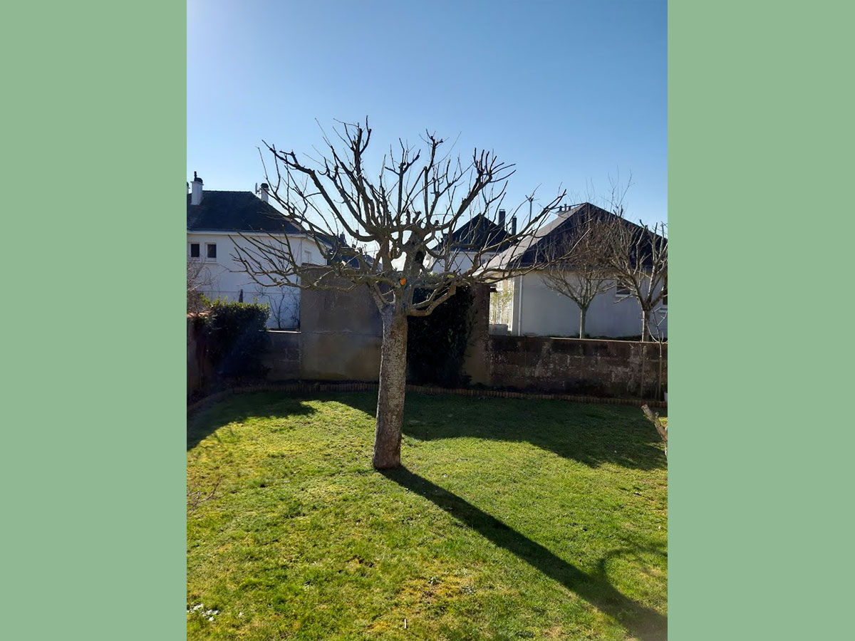 entretien-jardin-3