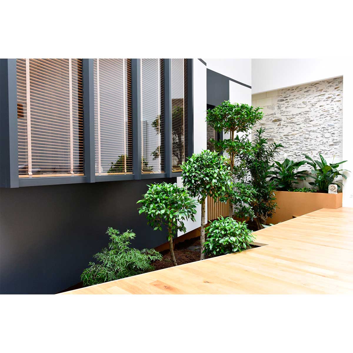 jardin-interieur-2