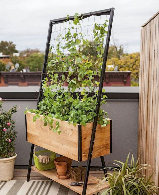 Comment créer un jardin sur une petite terrasse ?