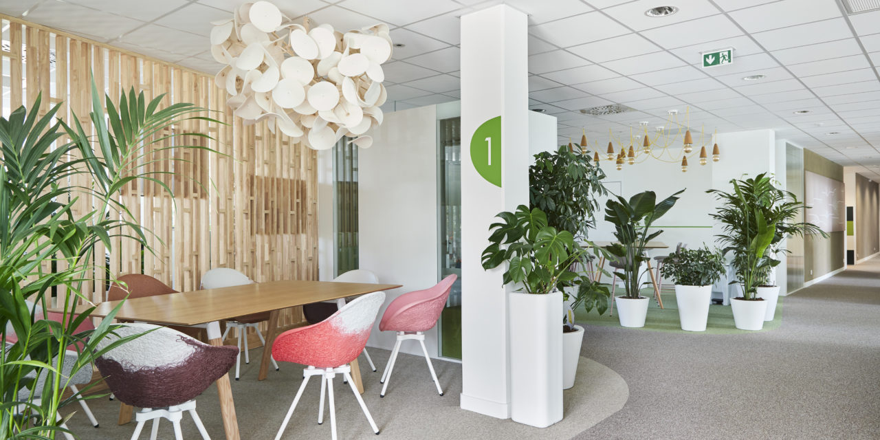 https://www.vert-morisson.fr/wp-content/uploads/2022/10/plantes-bureau-amenagement-1280x640.jpg