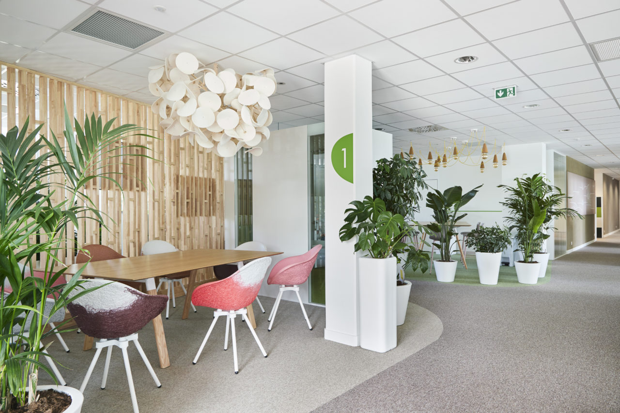 https://www.vert-morisson.fr/wp-content/uploads/2022/10/plantes-bureau-amenagement-1280x853.jpg