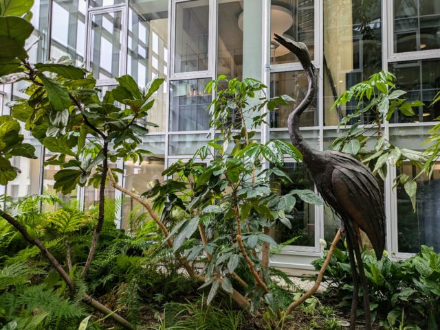 Soigner vos plantes de bureau grâce une méthode naturelle
