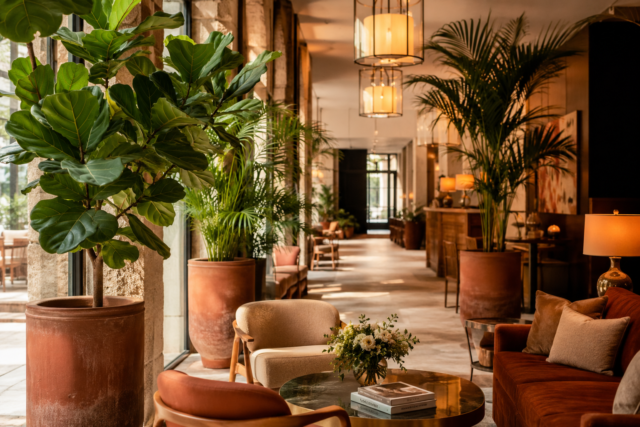 Plantes d’intérieur dans des contenants design pour la végétalisation d’un hall d’hôtel
