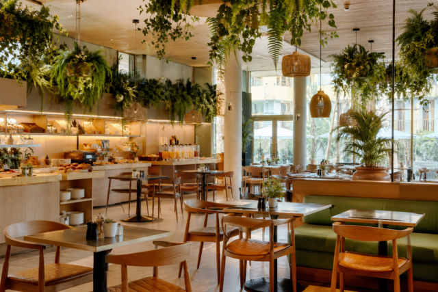 Végétalisation en hauteur avec kokedamas, terrariums suspendus et plantes retombantes