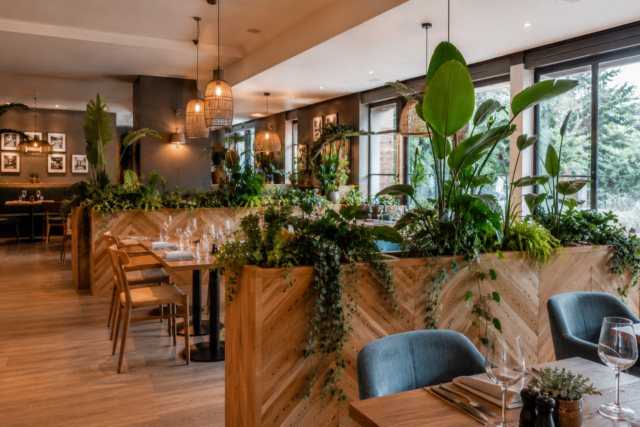 Bacs de plantes dans l’espace restauration d’un hôtel pour structurer les volumes