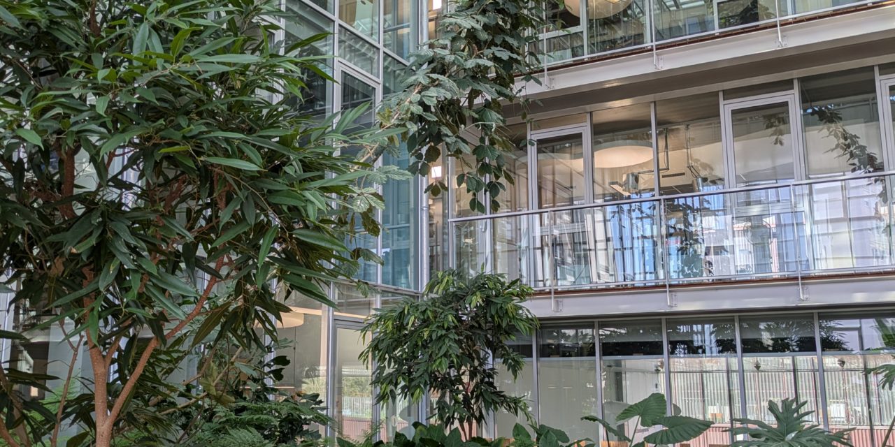 https://www.vert-morisson.fr/wp-content/uploads/2026/06/PXL_20260324_135731415-1280x640.jpg