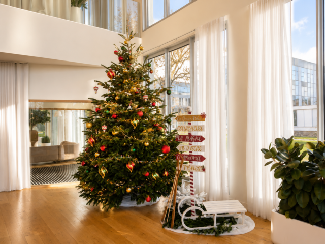 https://www.vert-morisson.fr/wp-content/uploads/2026/09/Vert-Morisson-Noël-2026-640x480.png