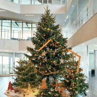 formule grand décor sapin pro vert morisson