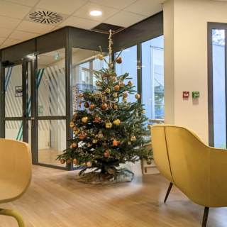 formule simple sapin pro vert morisson formule simple sapin pro vert morisson